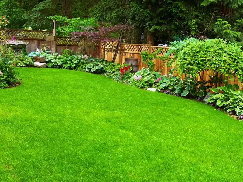 Landscaping contractors In Bath
