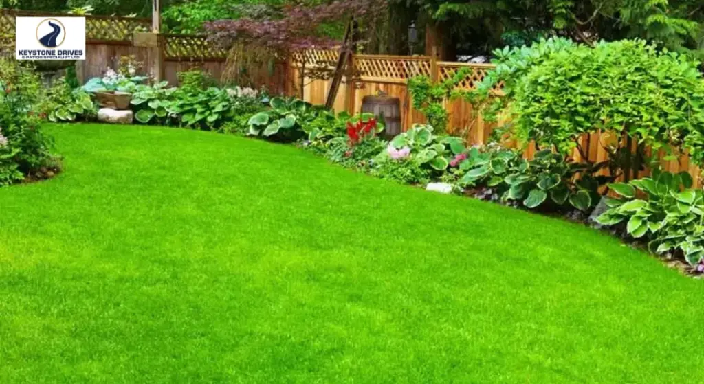 Paving and Landscaping Ideas